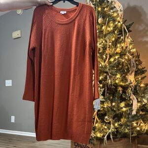 Elegant Rust Sweater Dress- LuLaRoe